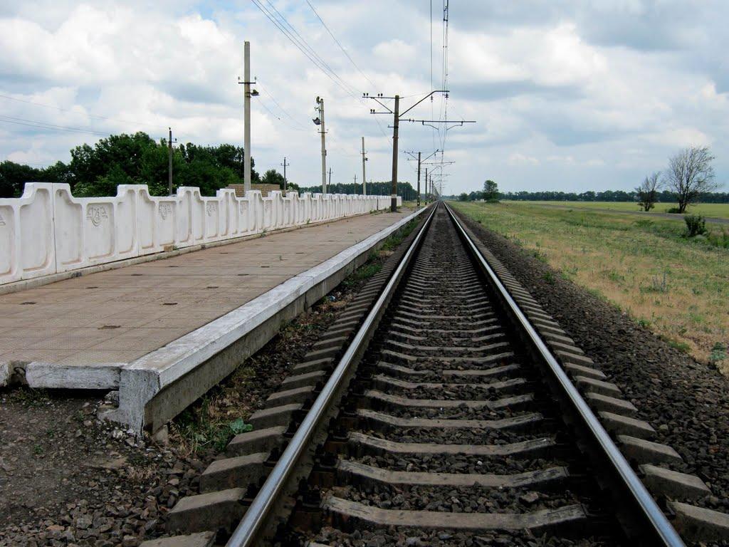 Високе Поле з panoramio.com - Високе Поле