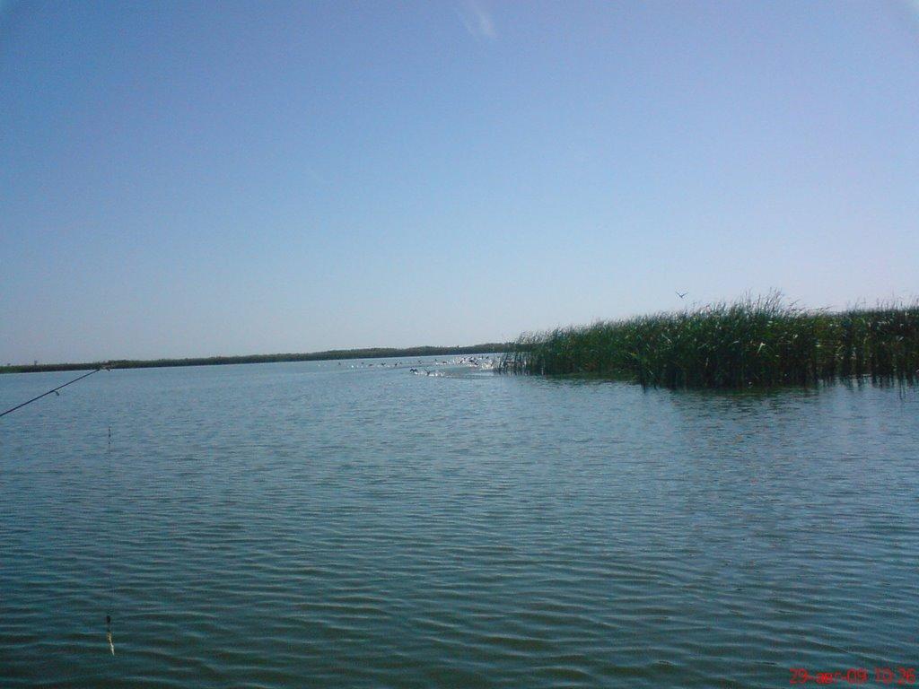 Стара Збур'ївка з panoramio.com - Стара Збур'ївка