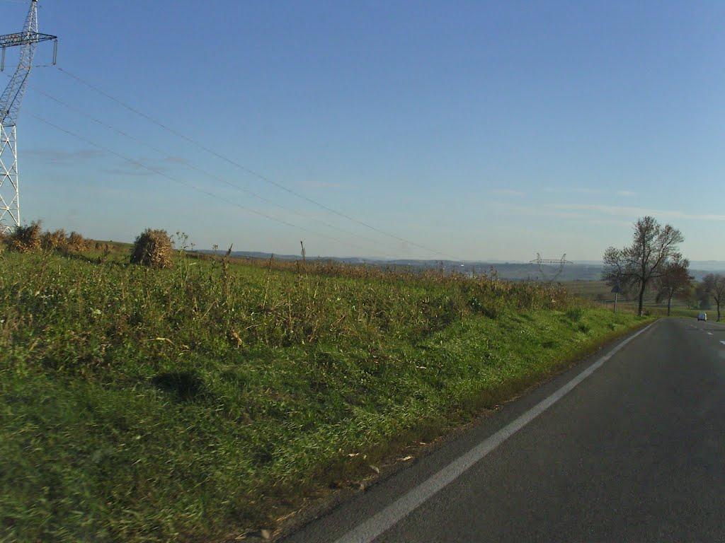 Новий Вовчинець з panoramio.com - Новий Вовчинець