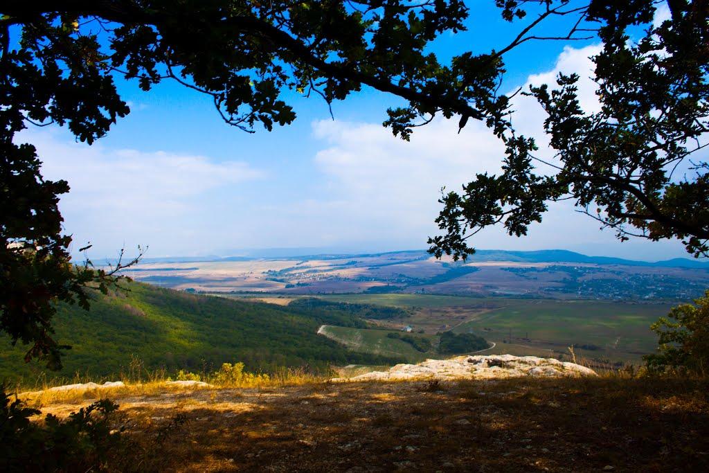 Партизанське з panoramio.com - Партизанське