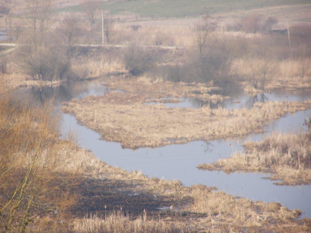 Голенищеве з panoramio.com - Голенищеве