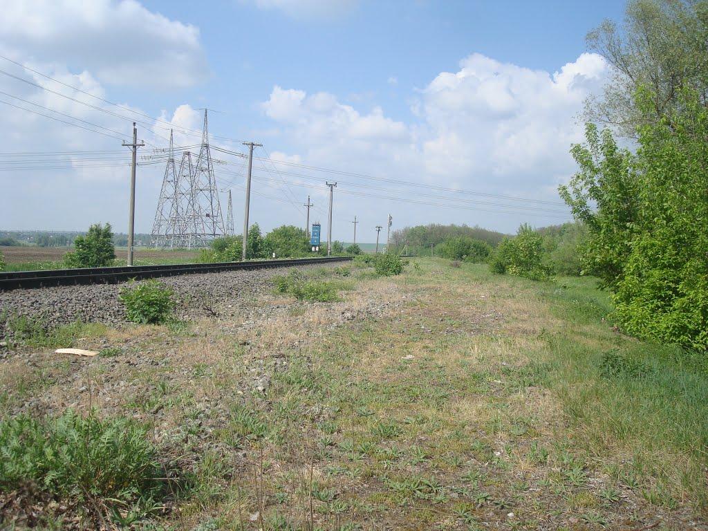 Стара Гута з panoramio.com - Старая Гута
