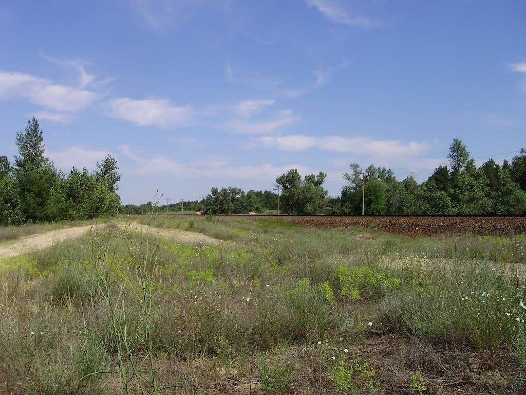 Раденськ з panoramio.com - Раденск