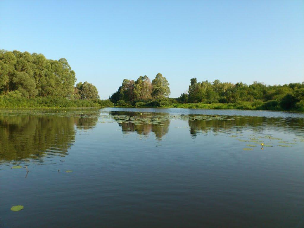 Миси з panoramio.com - Миси
