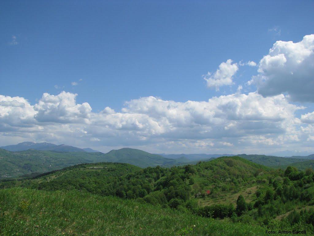 Великий Бичків з panoramio.com - Великий Бычков