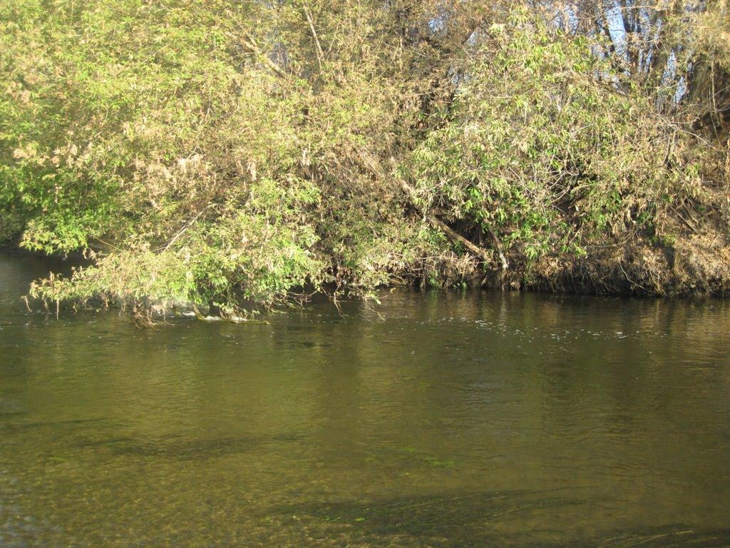 Мала Мечетня з panoramio.com - Мала Мечетня