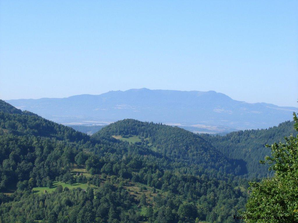 Великий Бичків з panoramio.com - Великий Бычков