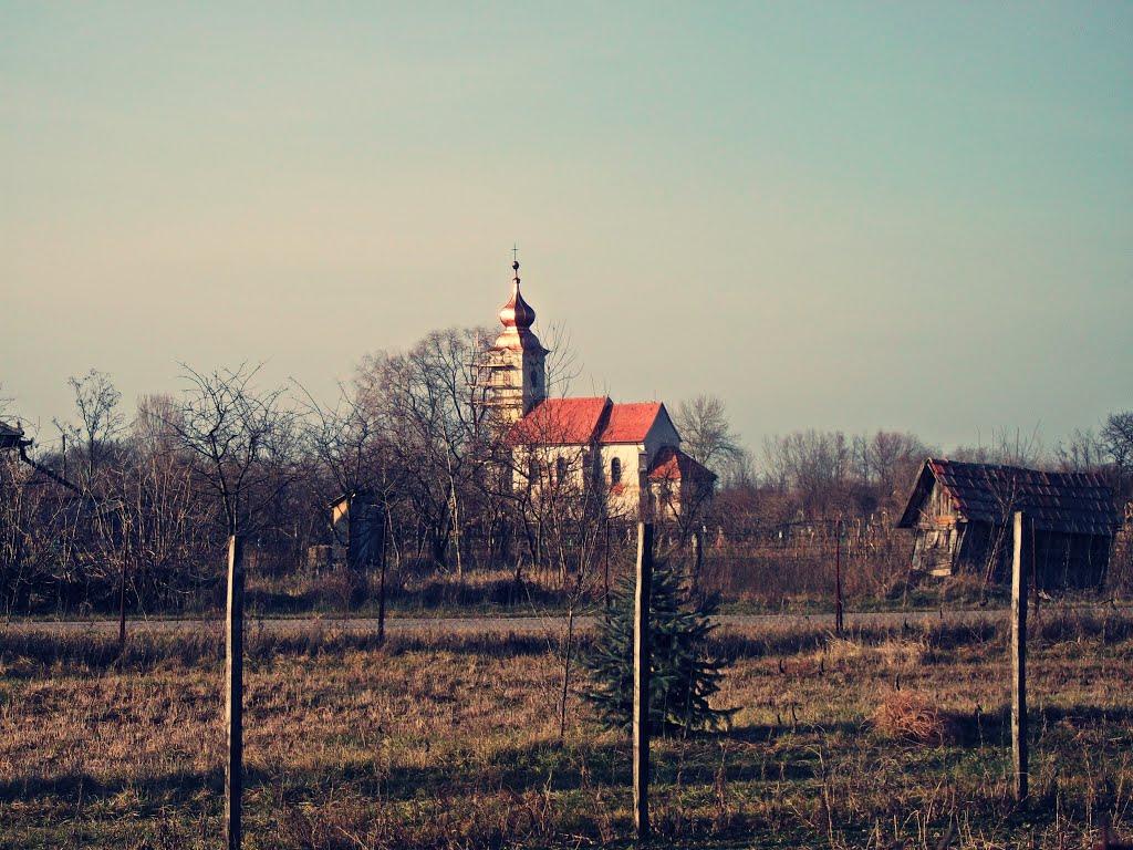 Велика Паладь з panoramio.com - Великая Паладь
