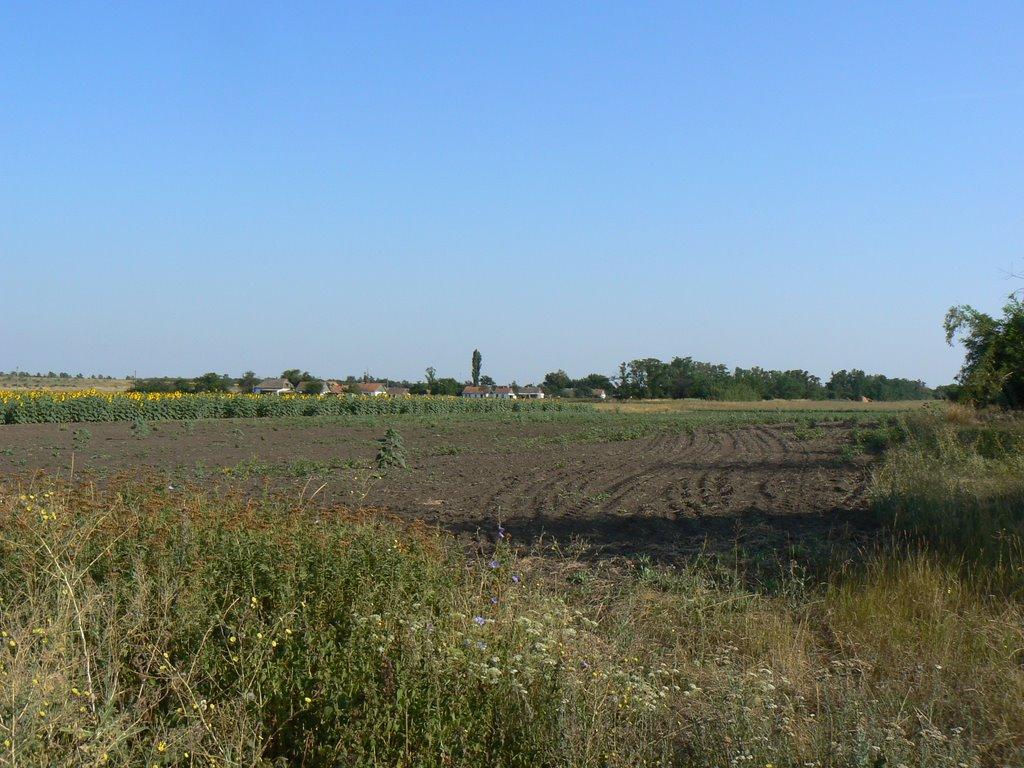 Світле з panoramio.com - Світле