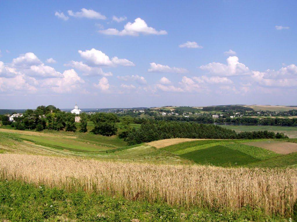 Сураж з panoramio.com - Сураж