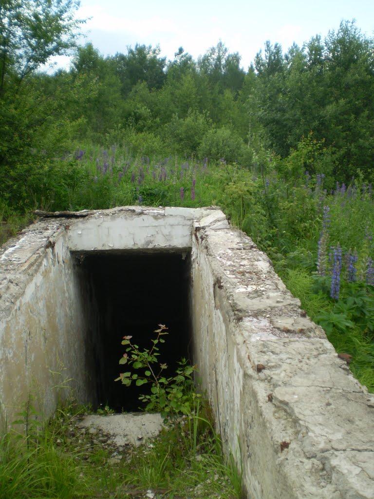 Грабівка з panoramio.com - Грабовка