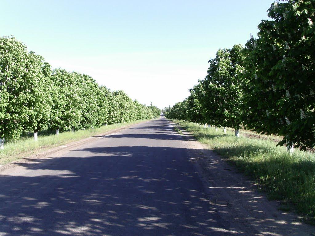 Вознесенськ з panoramio.com - Вознесенськ