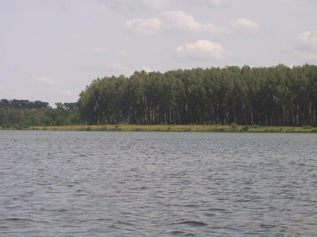 Дубовичі з panoramio.com - Дубовичі