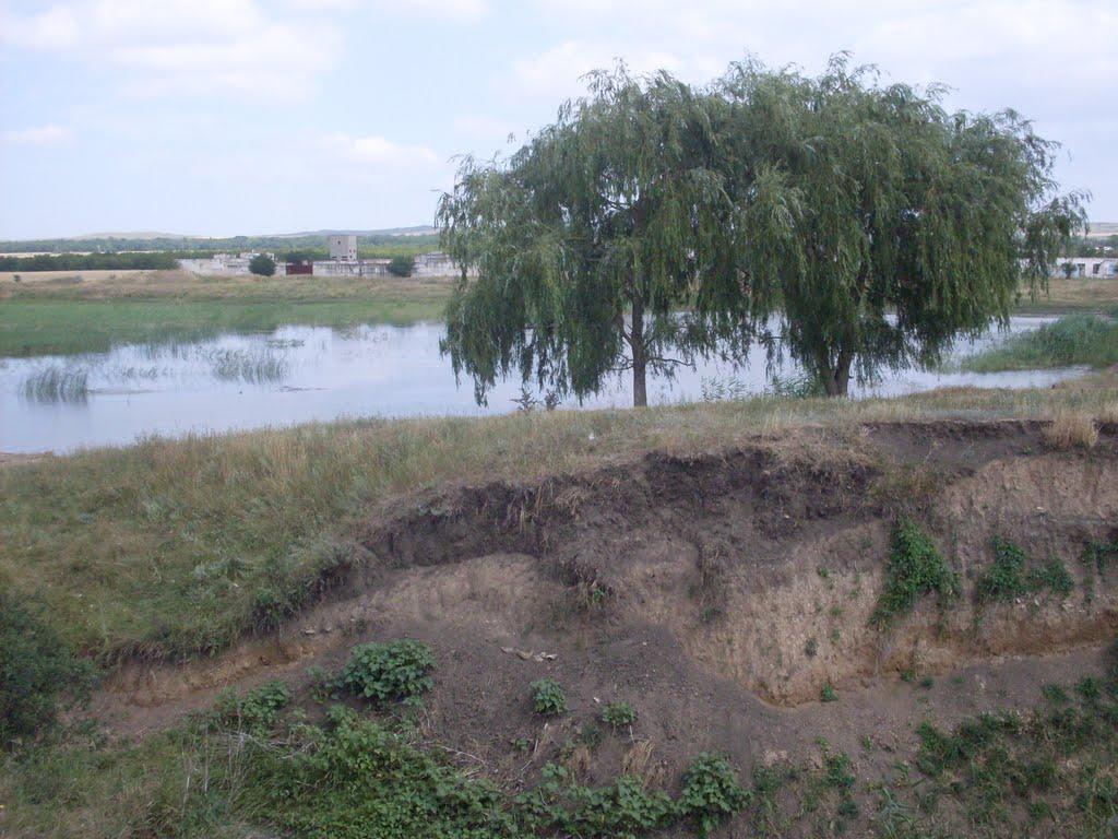 Багерове з panoramio.com - Багерове