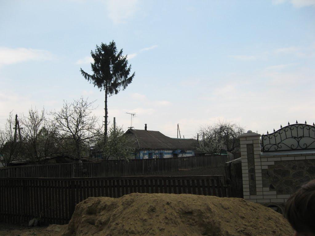 Погребище з panoramio.com - Погребище