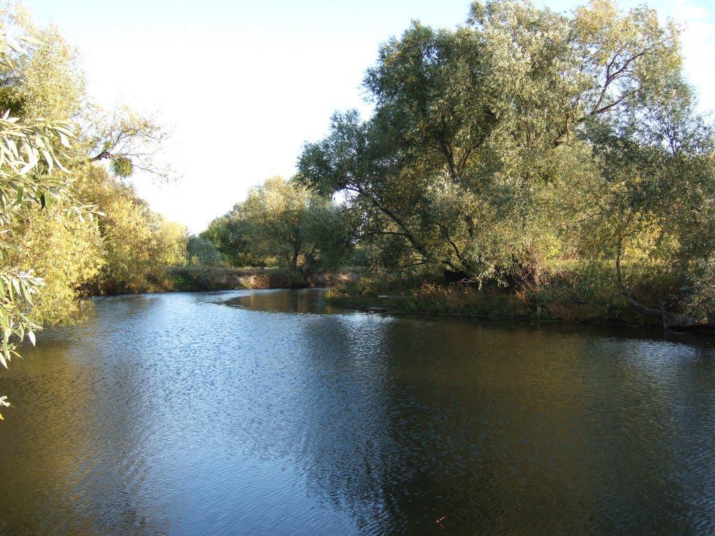 Острів з panoramio.com - Острів