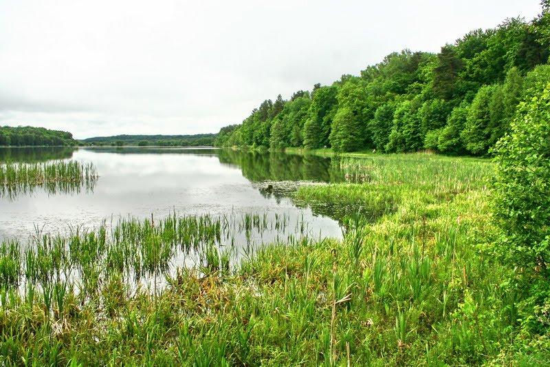 Верещиця з panoramio.com - Верещица