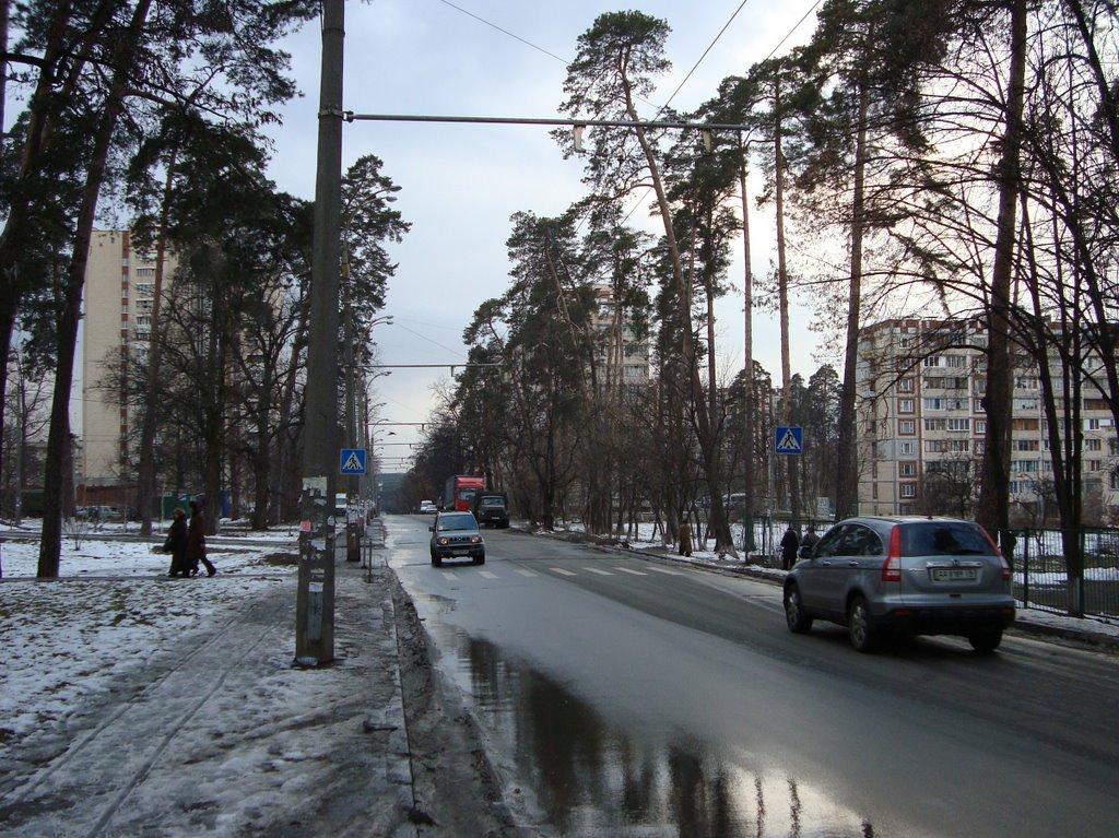 Петропавлівська Борщагівк з panoramio.com - Петропавловская Борщаговк