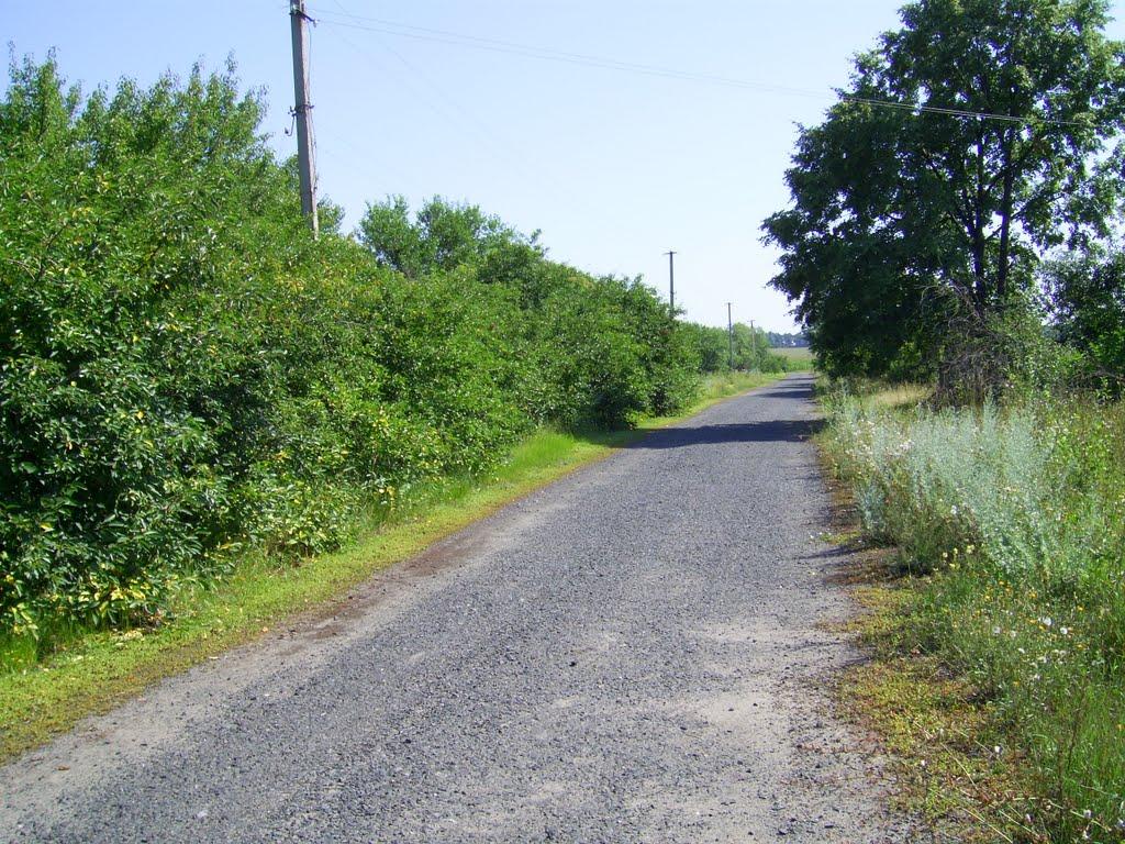 Баланди з panoramio.com - Баланды