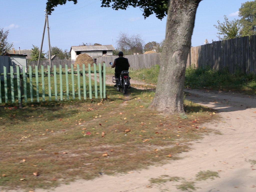 Сиделівка з panoramio.com - Сиделівка