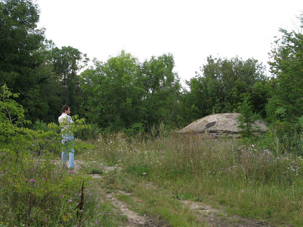 Дзензелівка з panoramio.com - Дзензелевка