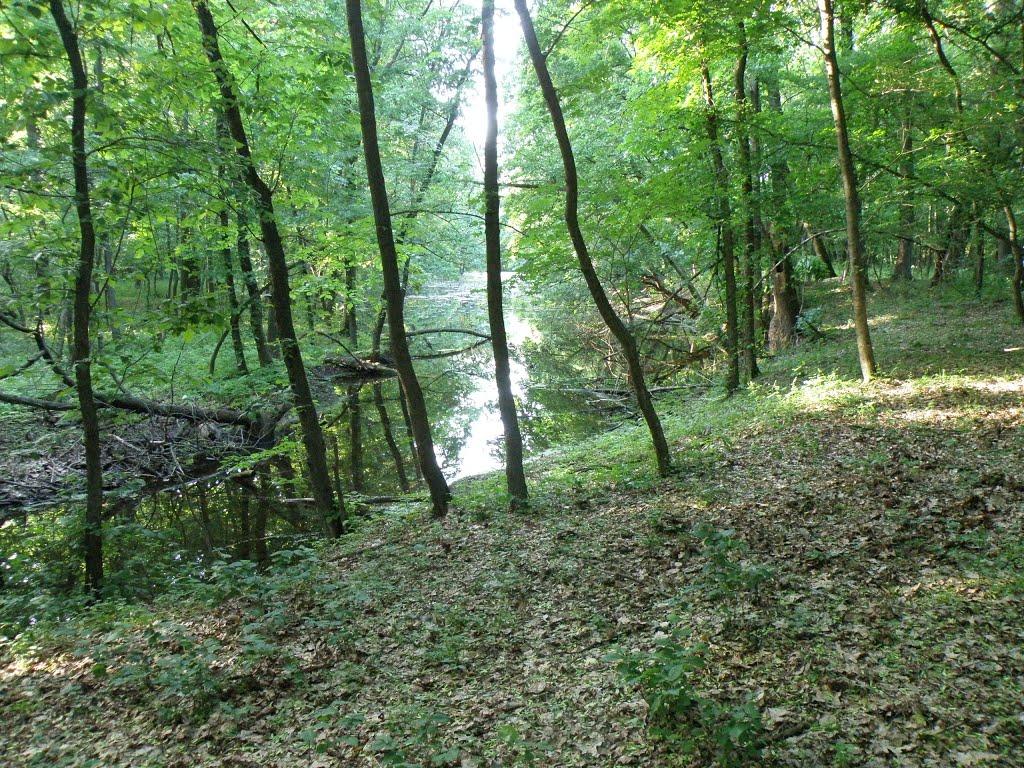 Рубіжне з panoramio.com - Рубежное