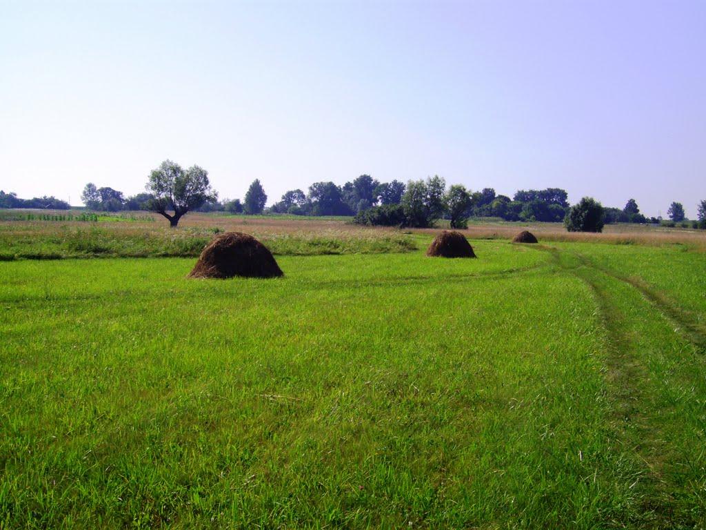 Баланди з panoramio.com - Баланды
