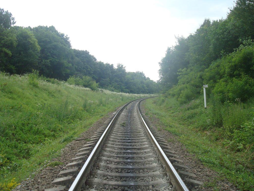 Гуменці з panoramio.com - Гуменці