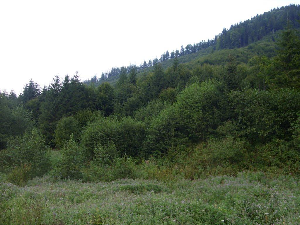 Фальків з panoramio.com (ч.2) - Фальків