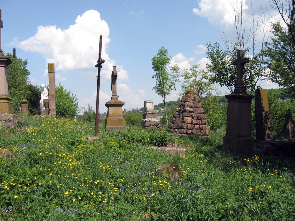 Микулинці з panoramio.com - Микулинці