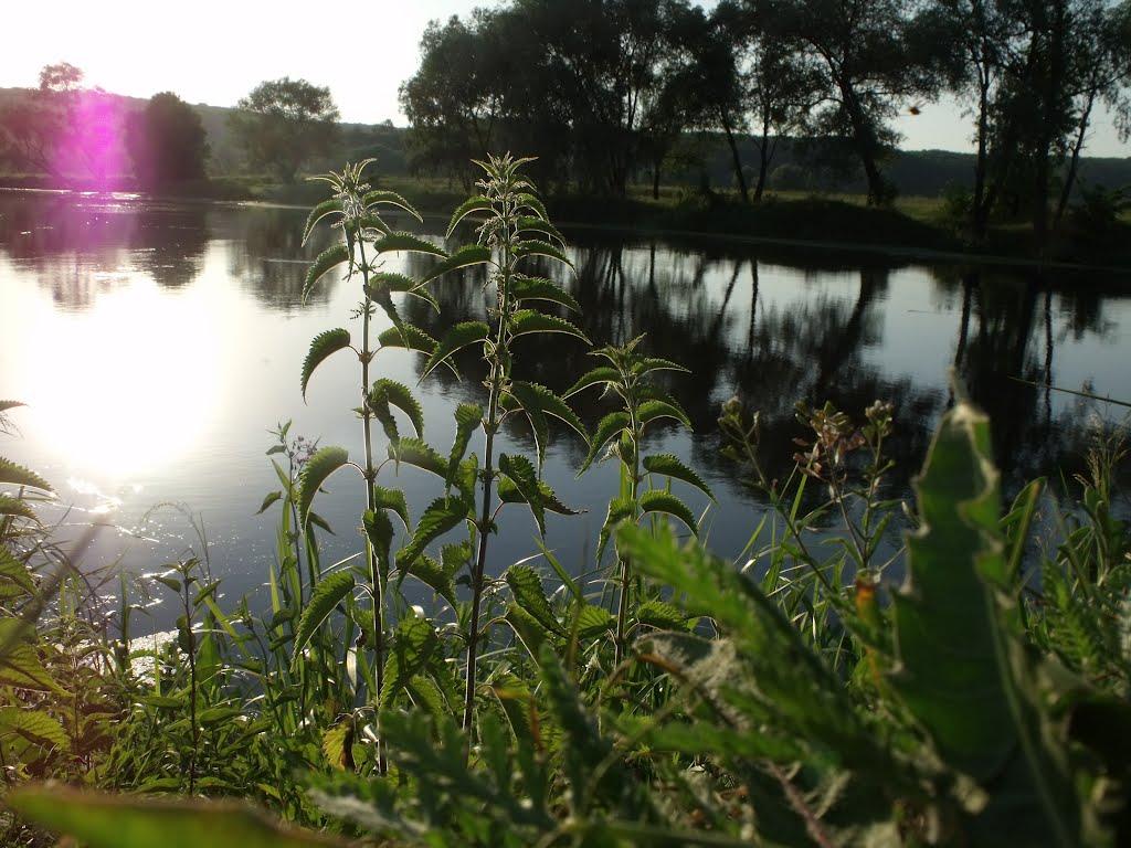 Мохнач з panoramio.com - Мохнач