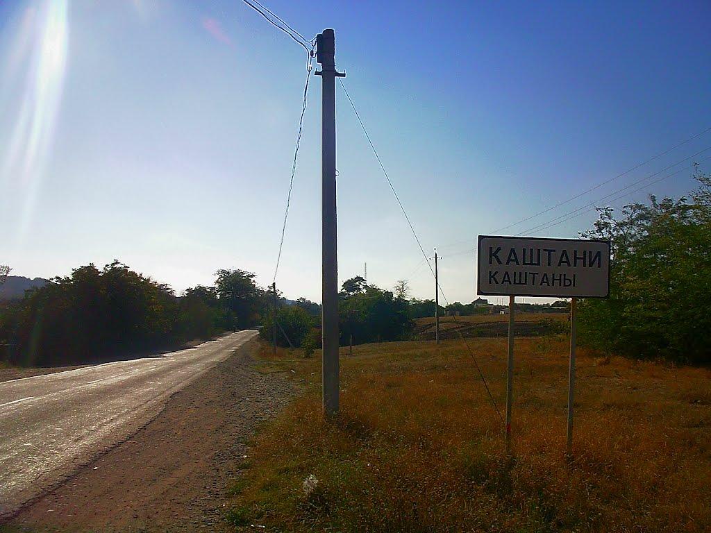 Каштани з panoramio.com - Каштани