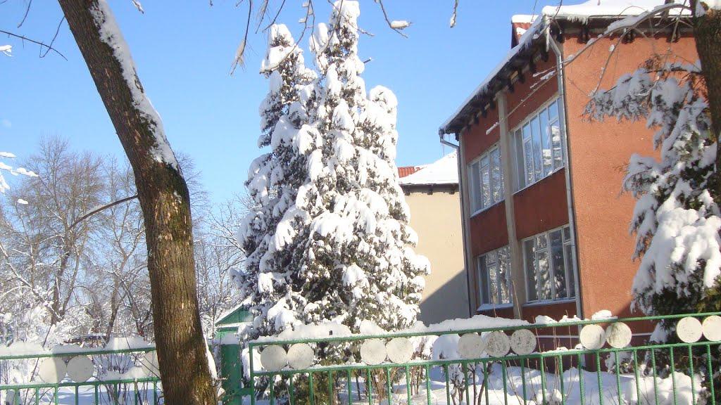 Рожнятів з panoramio.com - Рожнятів