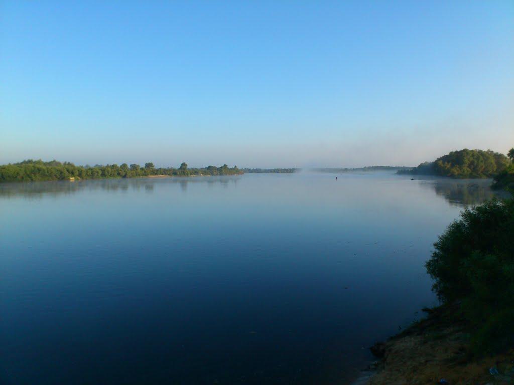 Миси з panoramio.com - Mysy