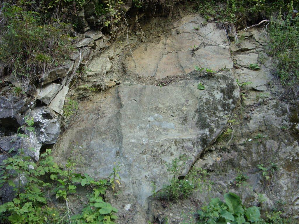Фальків з panoramio.com (ч.2) - Фальків