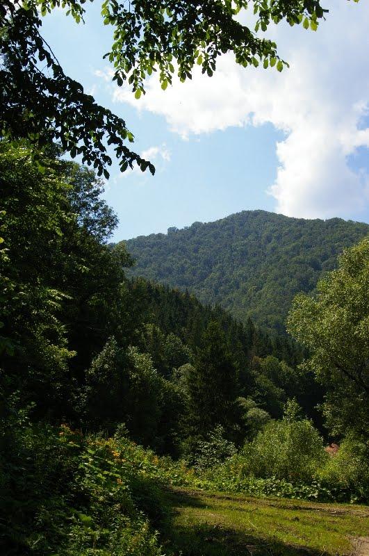 Вовчий з panoramio.com - Вовчий