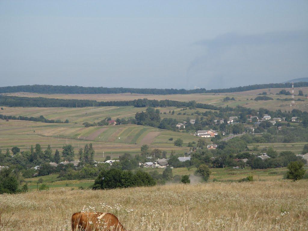 Милування з panoramio.com - Милування