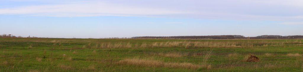 Балівка з panoramio.com - Balivka