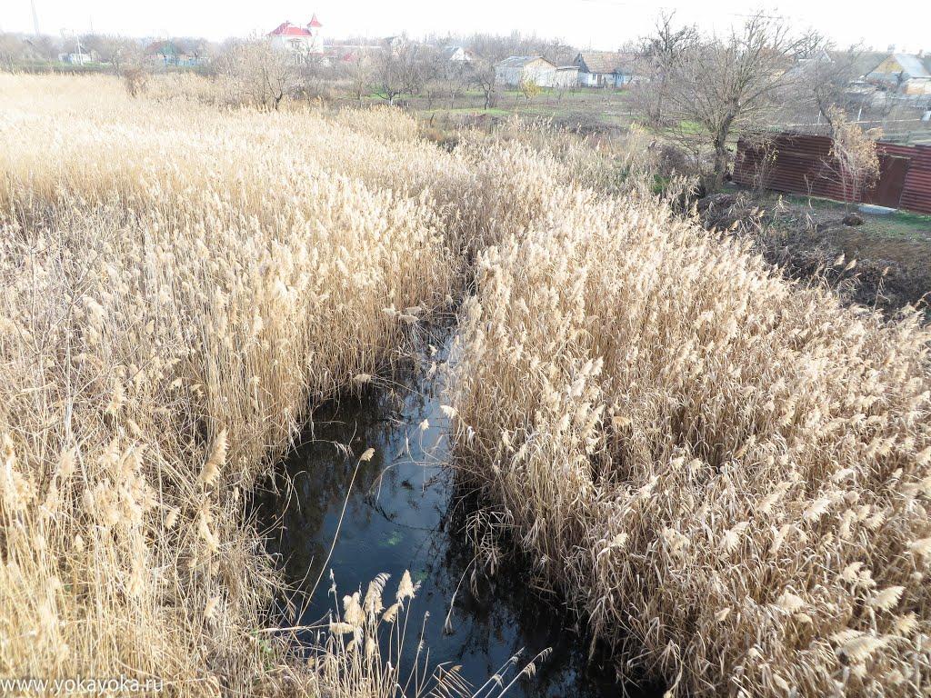 Токмак з panoramio.com - Токмак