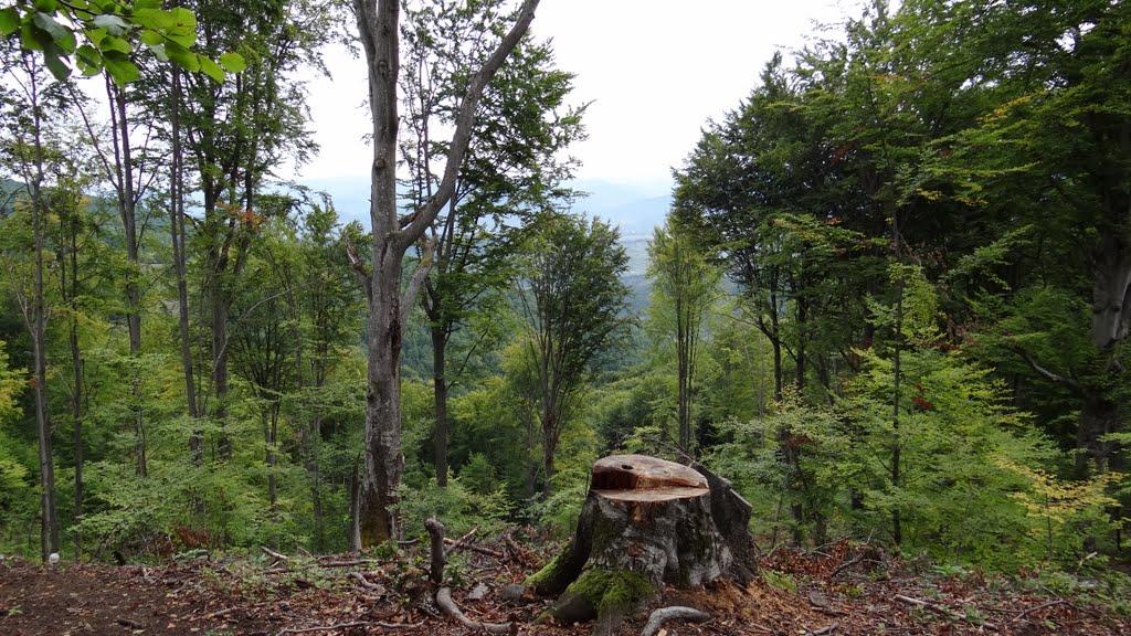 Біла Церква з panoramio.com - Біла Церква