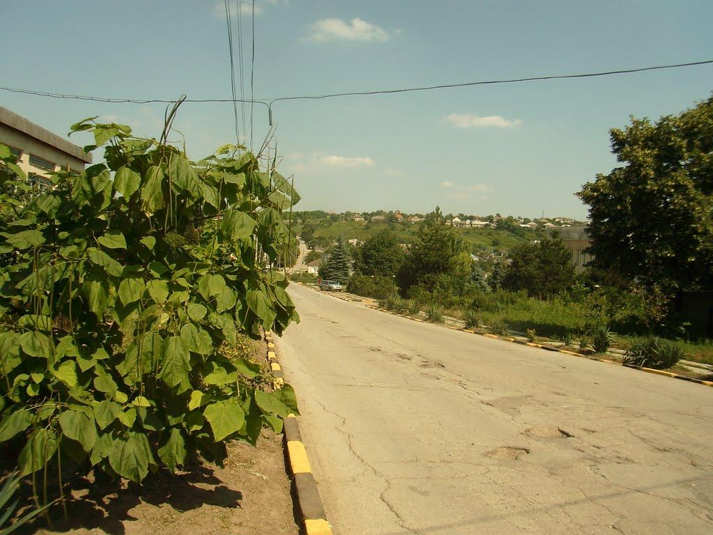 Малоярославець Перший з panoramio.com - Малоярославець Перший