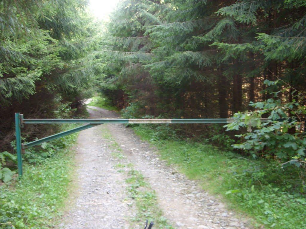 Фальків з panoramio.com (ч.2) - Фальків