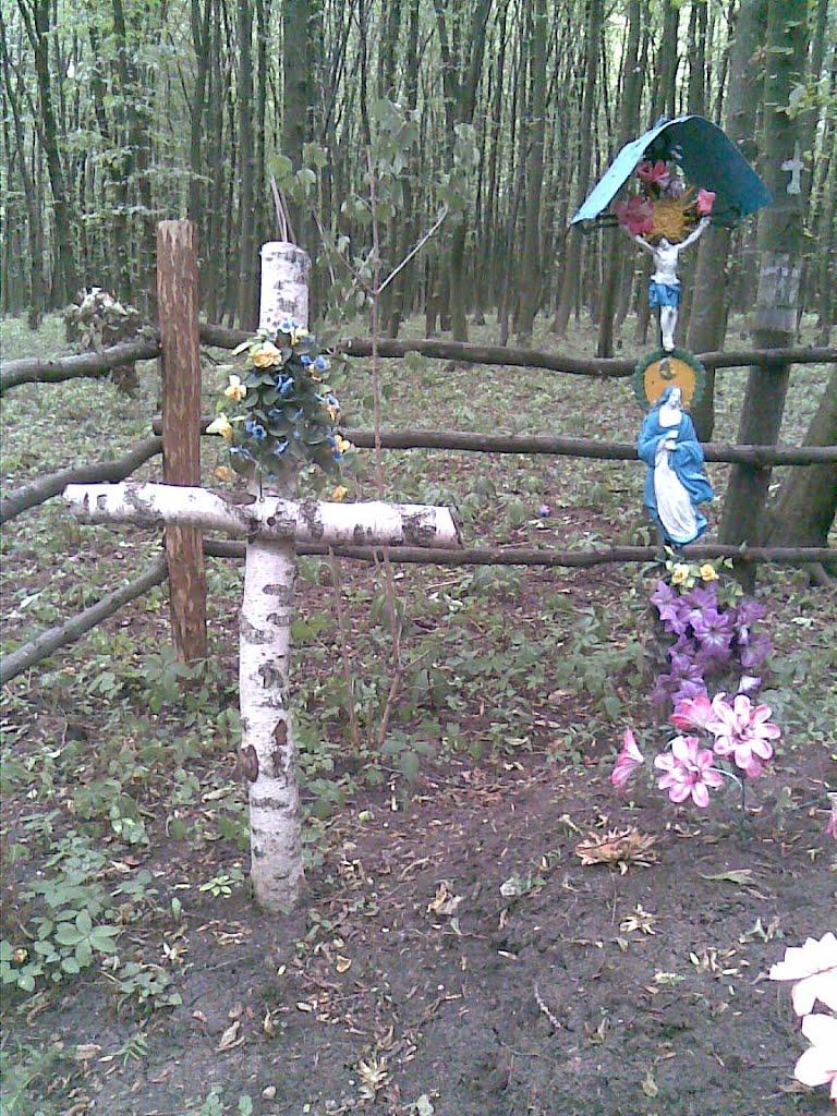 Шутроминці з panoramio.com - Шутроминцы