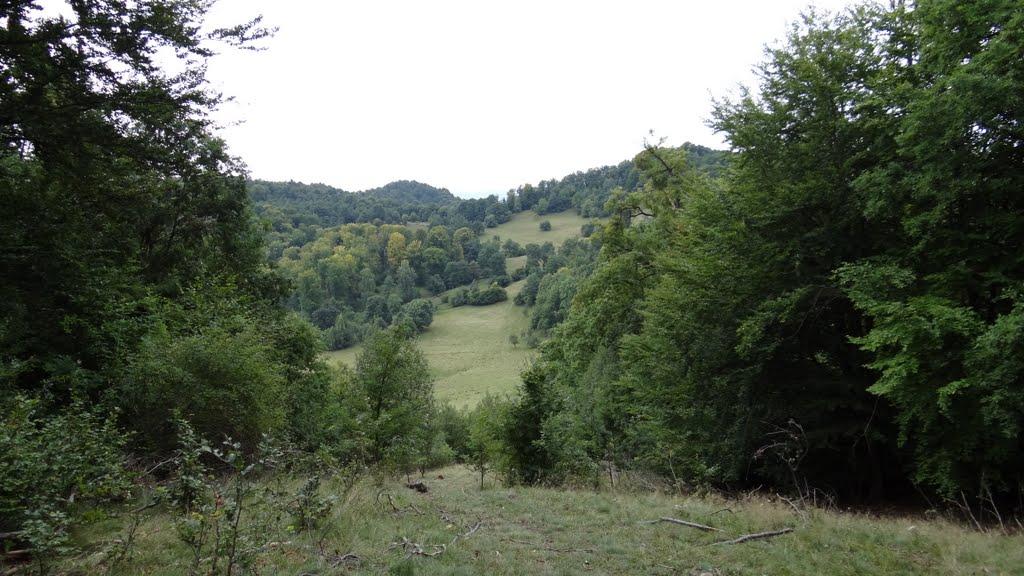 Біла Церква з panoramio.com - Біла Церква