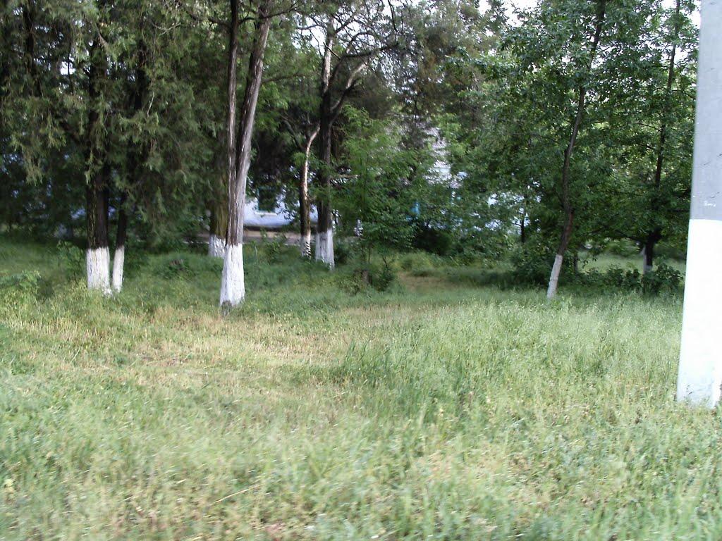 Вознесенськ з panoramio.com - Вознесенськ