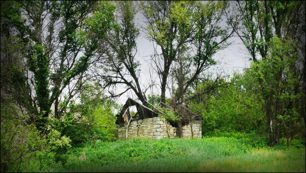 Михайлюки з panoramio.com - Михайлюки