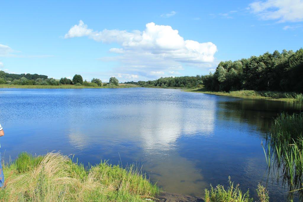 Кобзарівка з panoramio.com - Kobzarivka