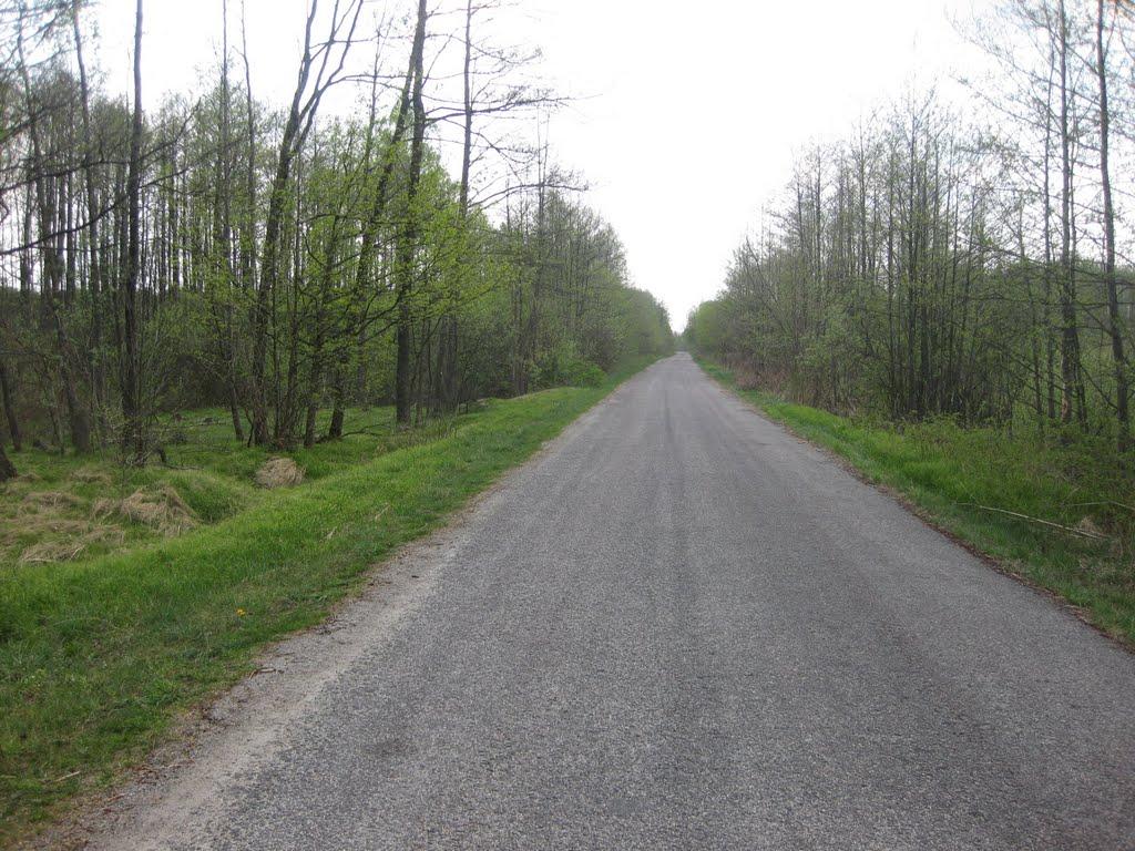 Гайки з panoramio.com - Гайки