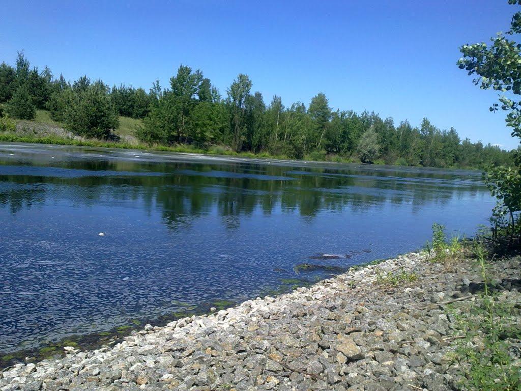 Півнева Гора з panoramio.com - Півнева Гора