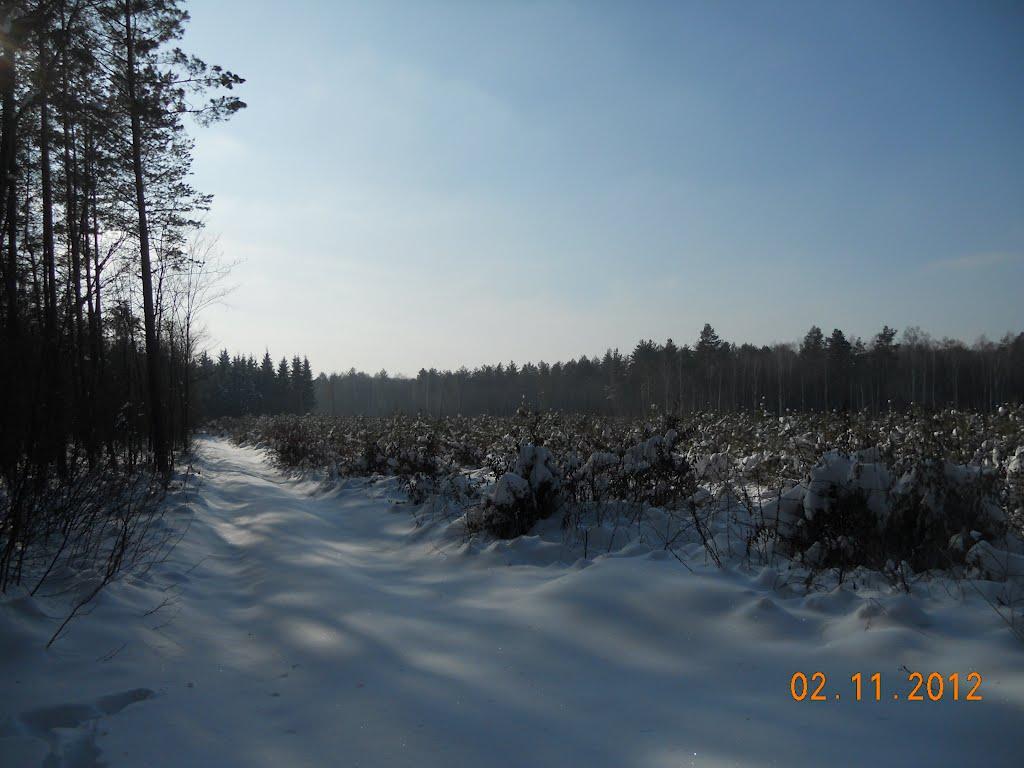 Білотин з panoramio.com